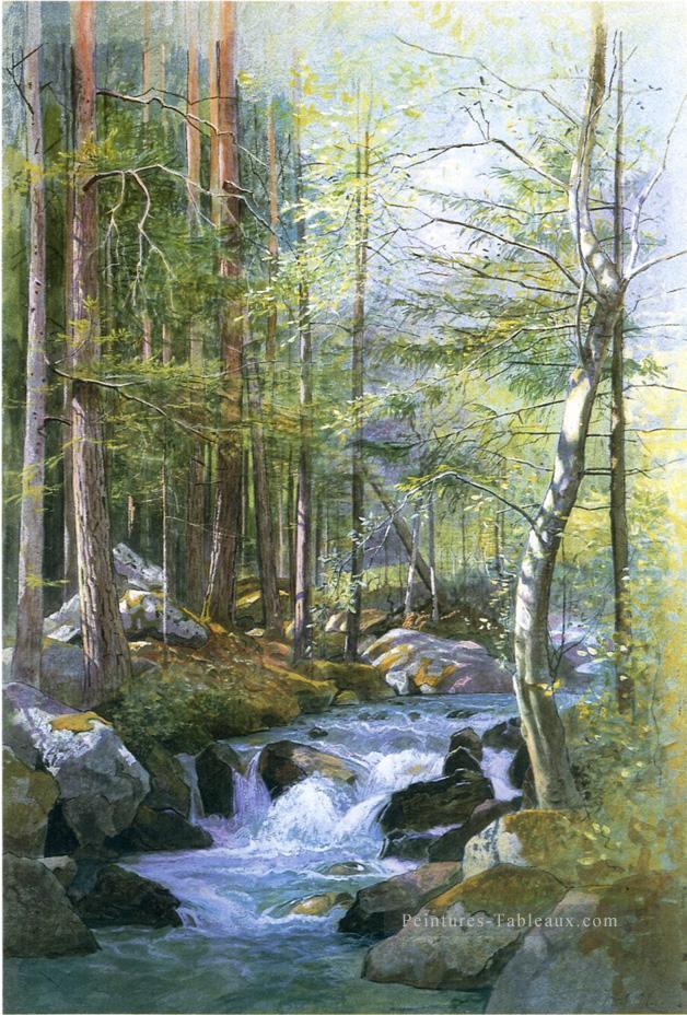 Torrent à Bois derrière Mill Dam Vahrn près de Brixen Tyrol paysage luminisme William Stanley Haseltine Peintures à l'huile